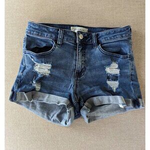 Pacsun Super Stretch Shortie Distressed Shorts 26